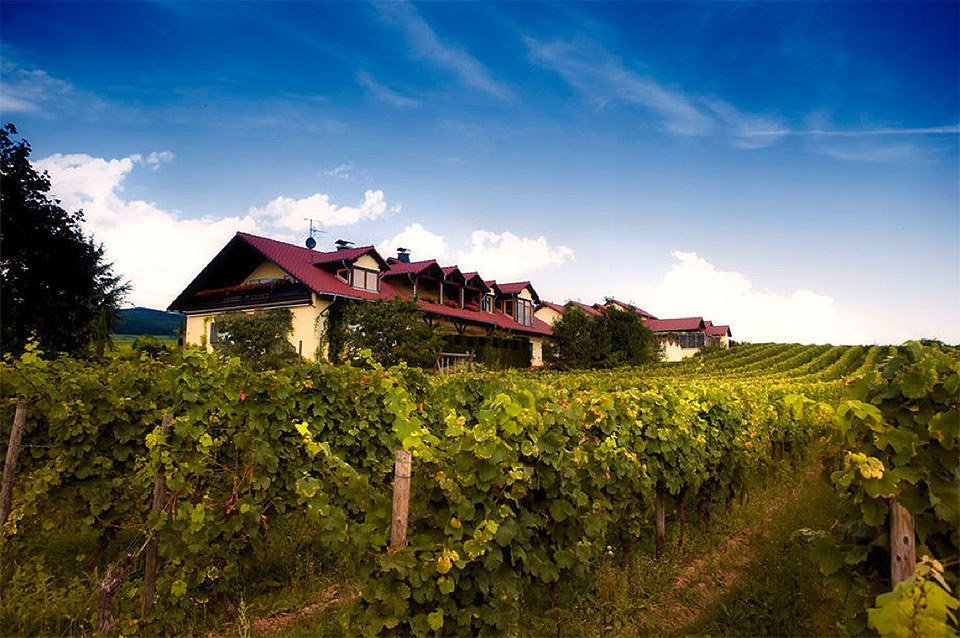 DEUTSCHE WEINE