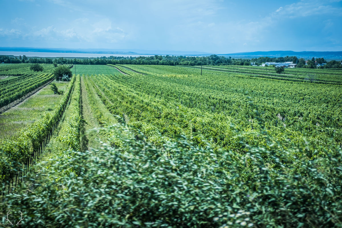 Burgenland