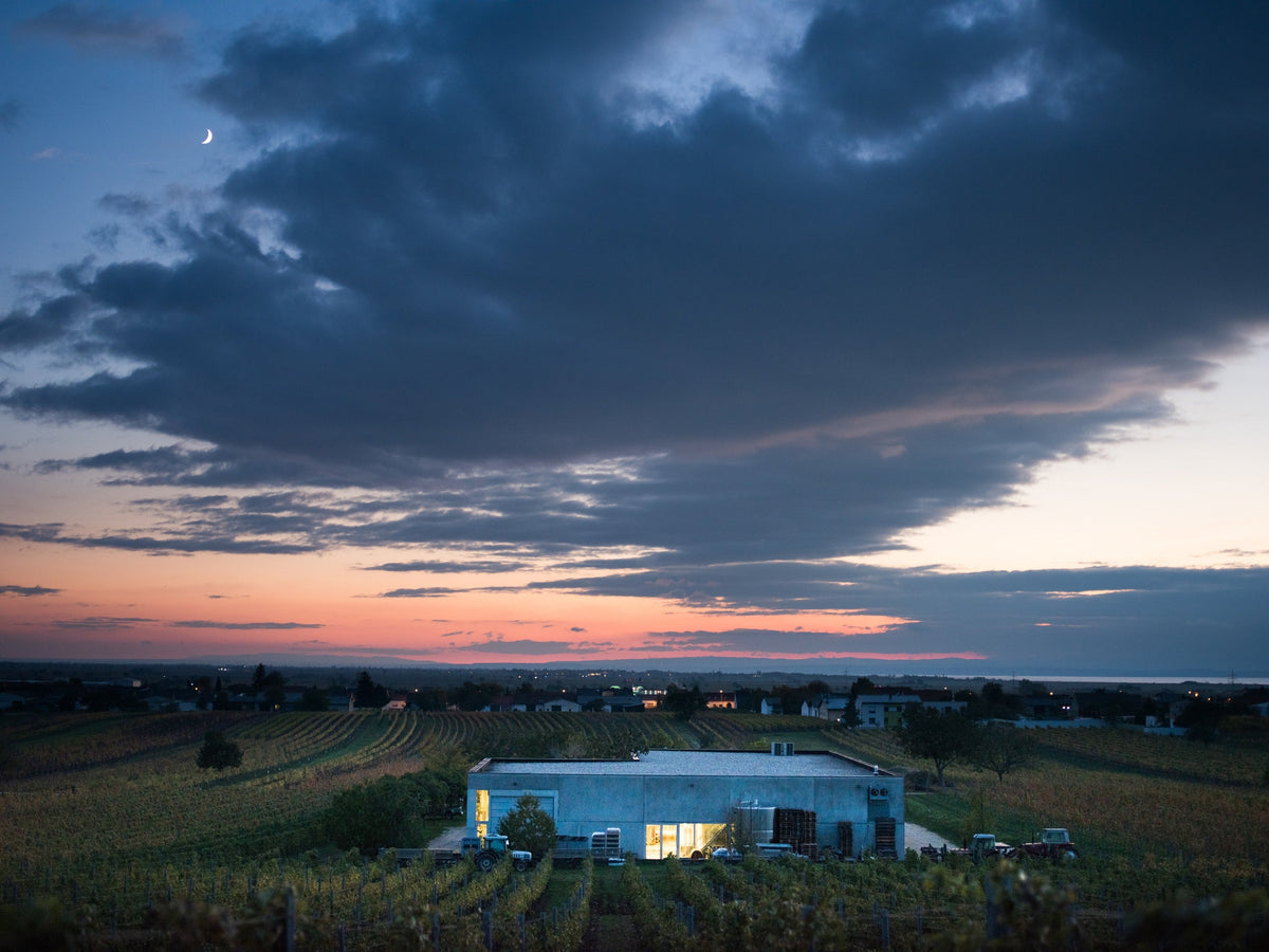 Pittnauer Weinery