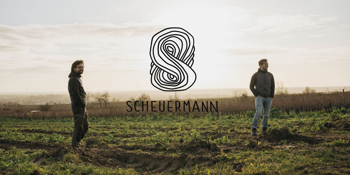 Weingut Scheuermann