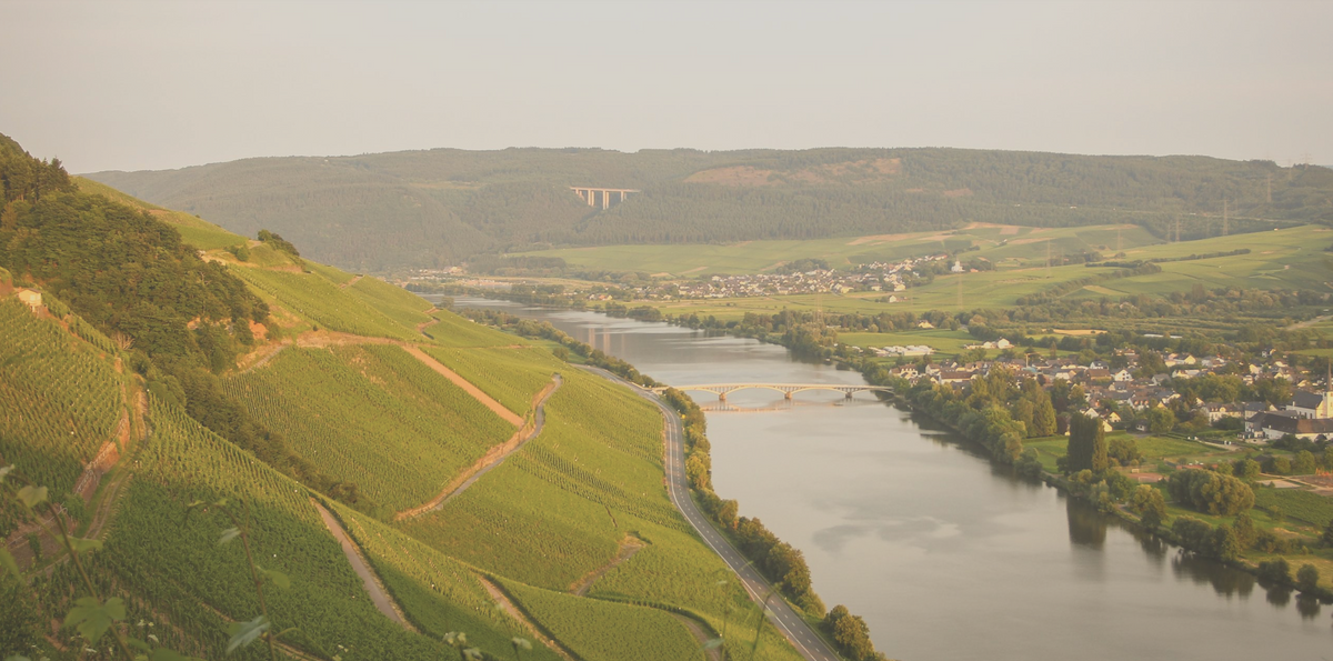 Mosel