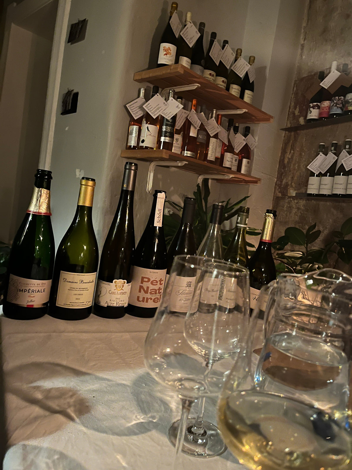 Wine-Tastings