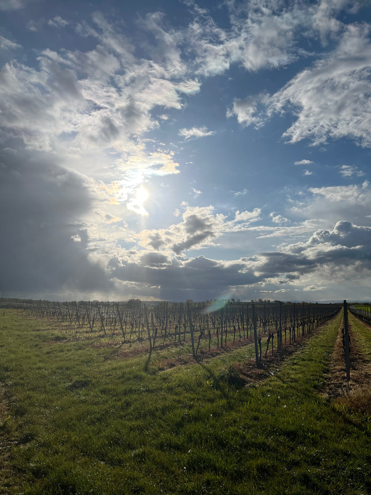 Pfalz