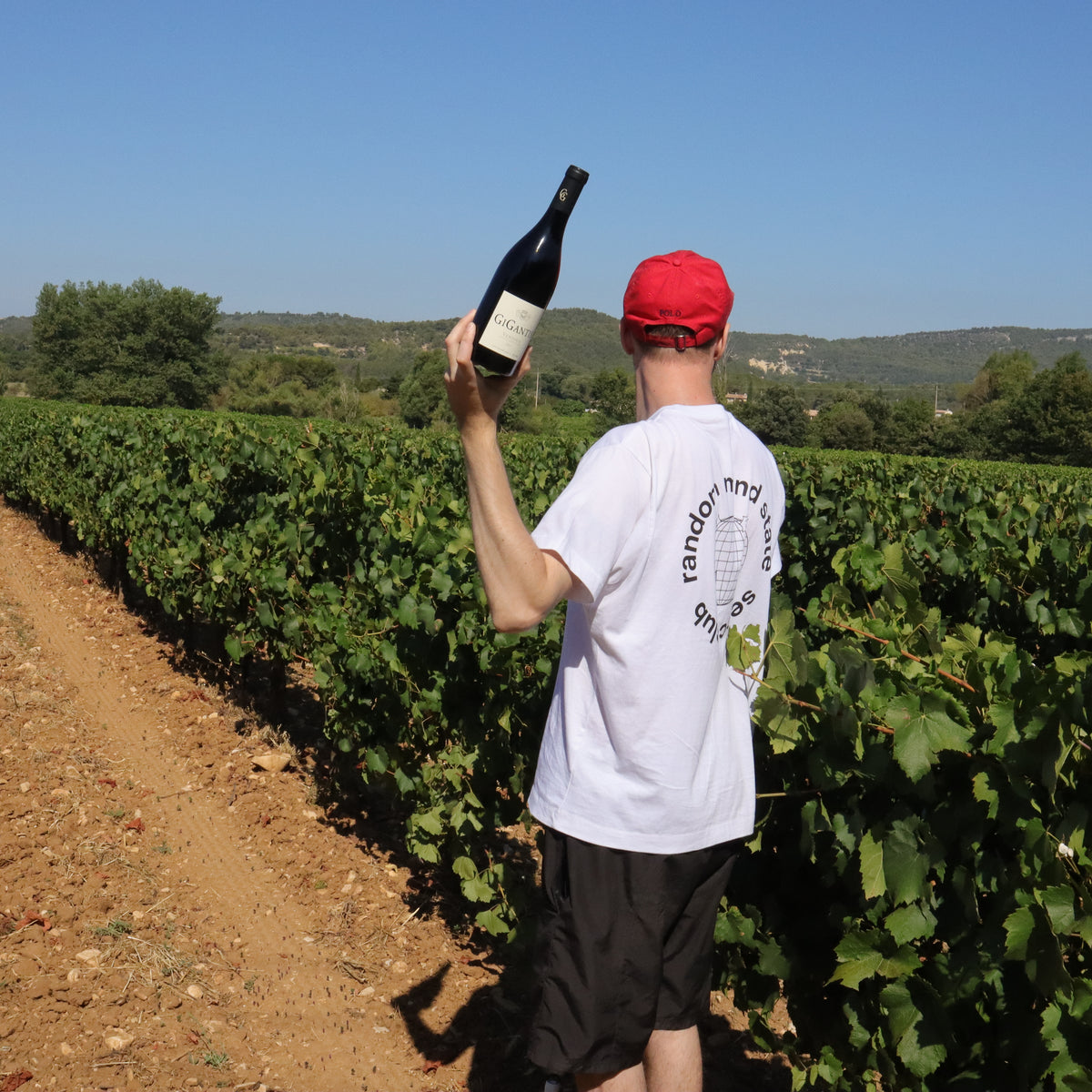 Vignerons Du Mont Ventoux