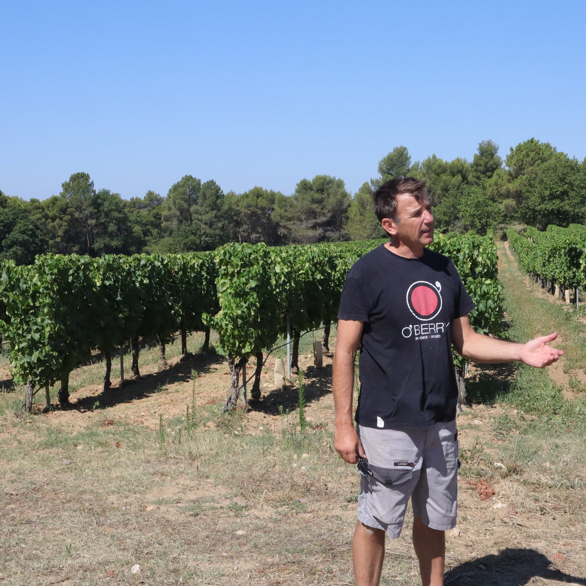 Domaine Les Hautes Briguières