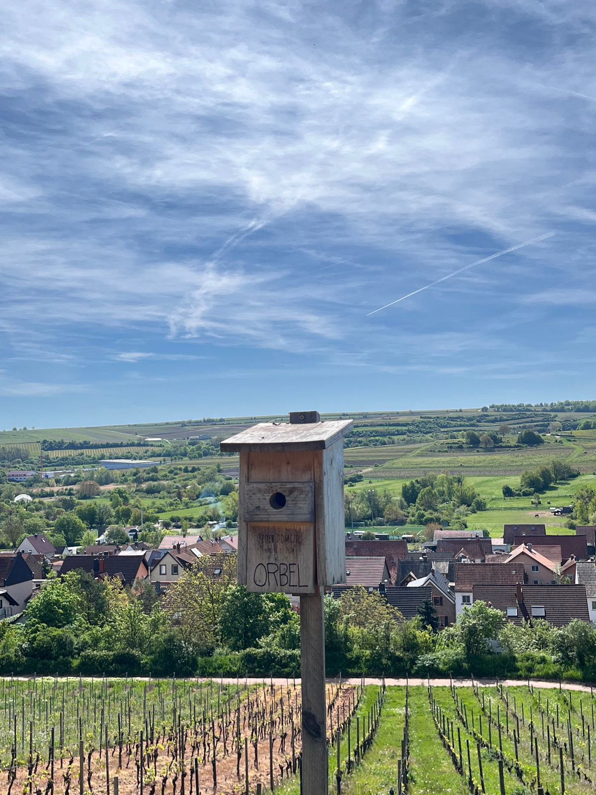 Rheinhessen