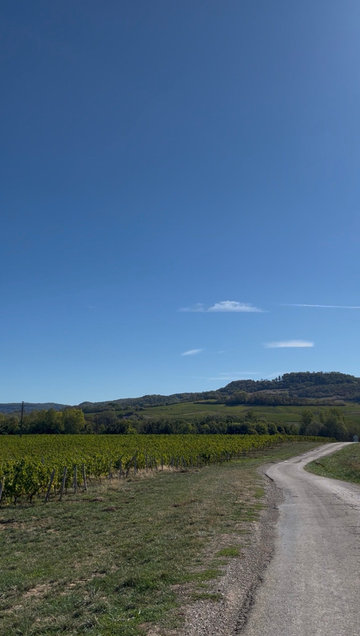 Jura