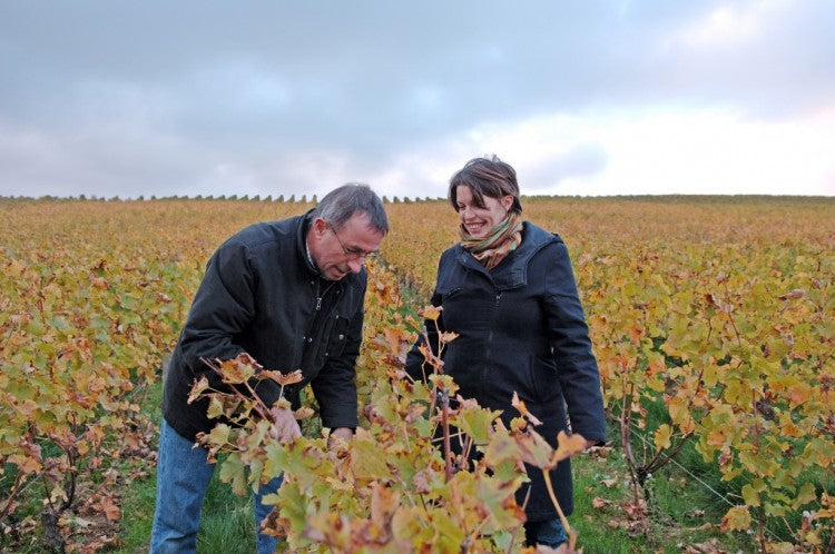 DOMAINE ALAIN GUENEAU