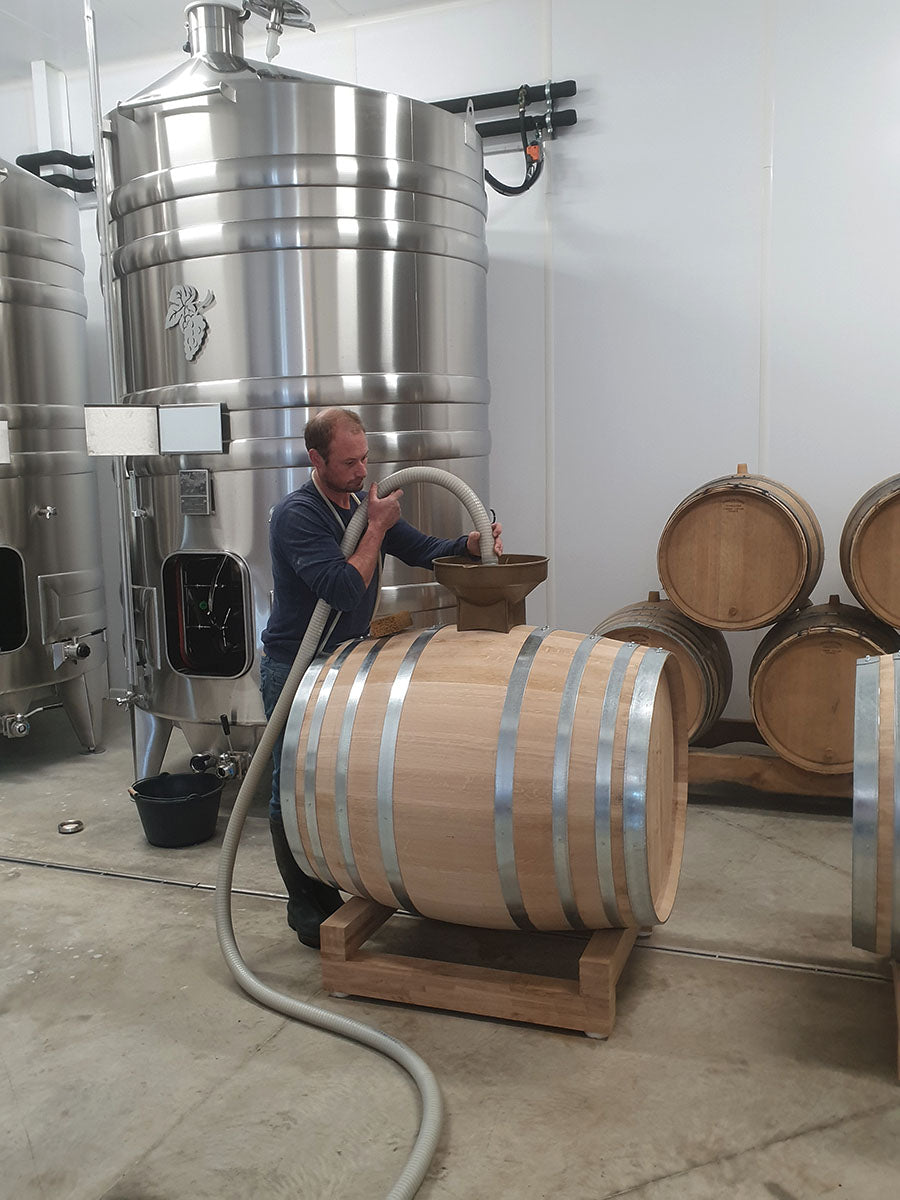 Jean-Pierre & Alexandre Ellevin (Chablis)
