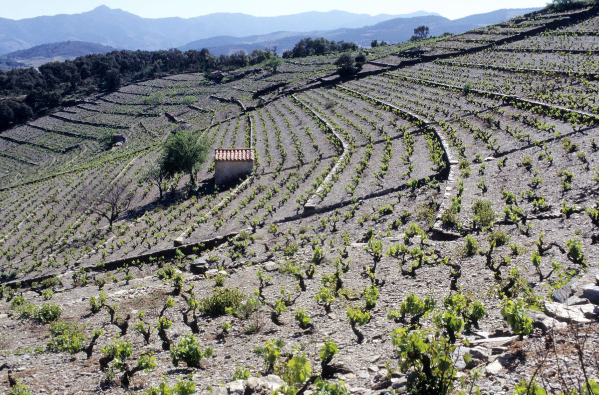 Roussillon