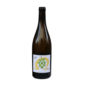 Null Ohm Weiss 2023 - Moritz Kissinger