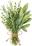 Kräuter