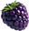 Brombeere