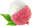 Litschi