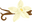 Vanille