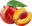 Aprikose
