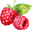 Himbeere