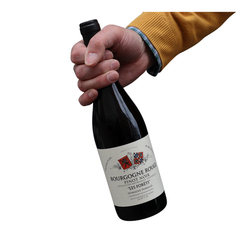 Bourgogne Rouge Les Forêts Pinot Noir Domaine Perraud dreiunddreißig kaufen hannover