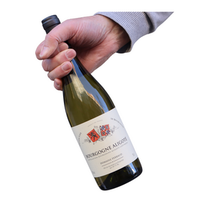 domaine perraud burgund bourgogne weißwein aligoté kaufen hannover