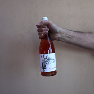 judith beck pink bio wein rosé zweigelt blaufränkishc kaufen bestellen hannover naturwein